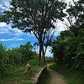 基隆大武崙砲台034.jpg