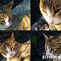 猴硐煤礦博物園區033.jpg