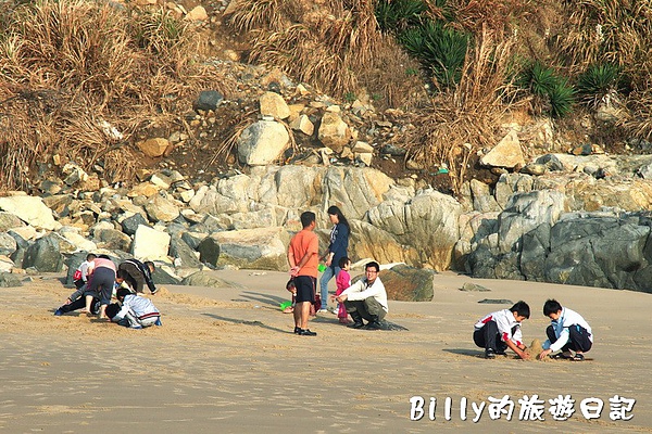 馬祖莒光尋章魚01.jpg 馬祖莒光尋章魚01.jpg
