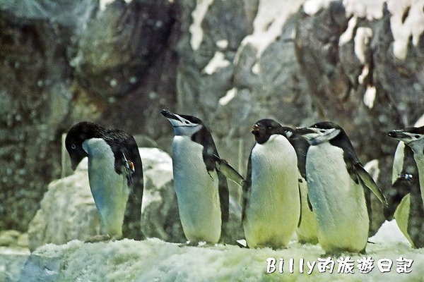 國立海洋生物博物館033.jpg