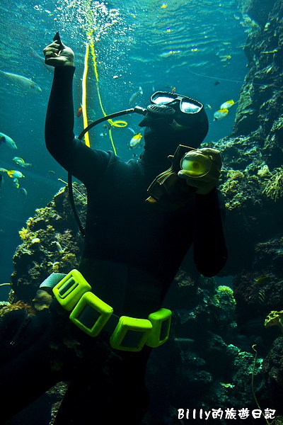 國立海洋生物博物館014.jpg