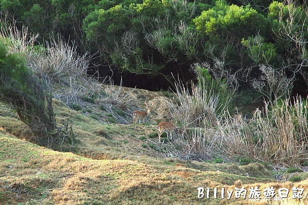 馬祖北竿大坵島055.jpg