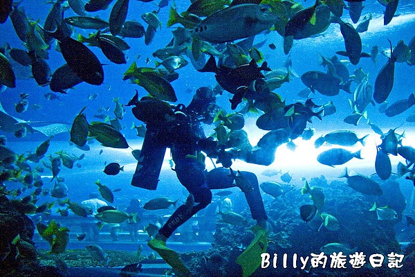 國立海洋生物博物館021.jpg