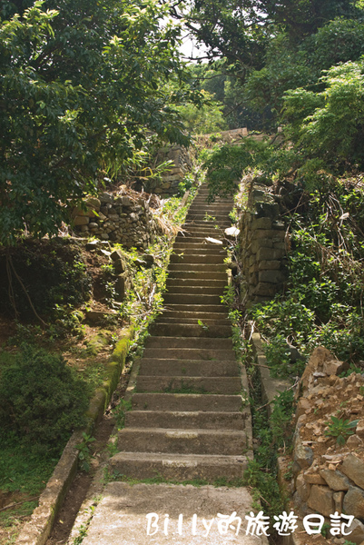 馬祖北竿大坵生態之旅14.jpg