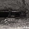 屏東好茶村6815.jpg