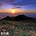 佳作-鄭玉員-大屯山風景(NO.46).jpg