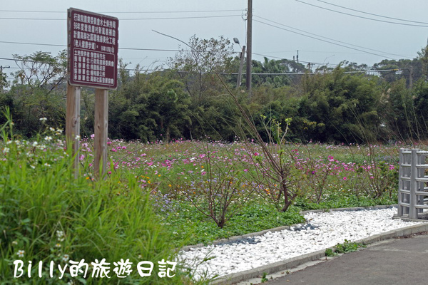 楊梅高榮社區16.JPG