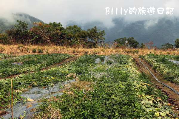 花東旅遊24.JPG