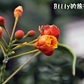 花東旅遊88.JPG