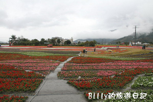 花東花海節06.JPG