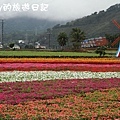 花東花海節08.JPG