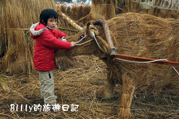 池上鄉創意稻草人06.JPG