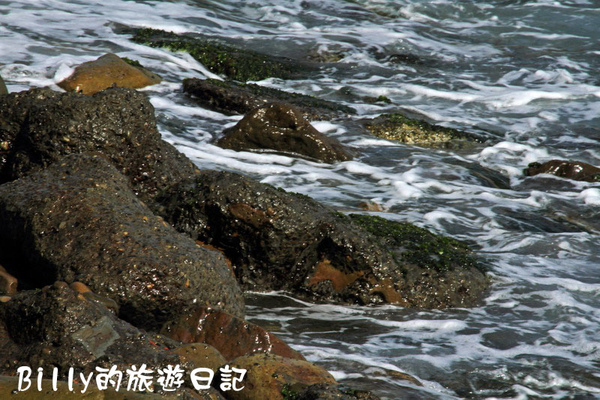 瑞濱到陰陽海03.JPG