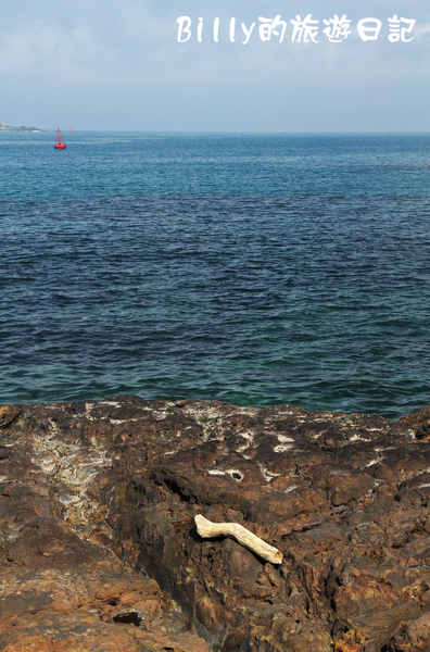 瑞濱到陰陽海17.JPG