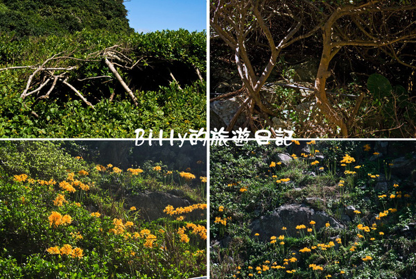 基隆基隆嶼80.jpg 基隆基隆嶼80.jpg