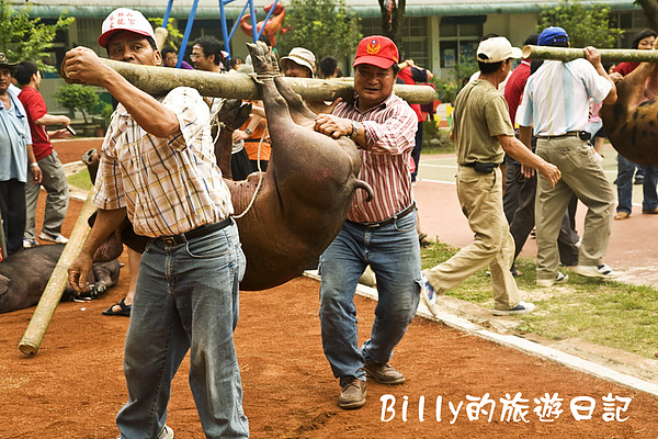 2009高雄那瑪夏春之頌系列活動-布農射耳祭6.jpg