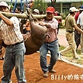 2009高雄那瑪夏春之頌系列活動-布農射耳祭6.jpg