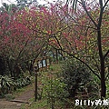 基隆紅淡山057.jpg