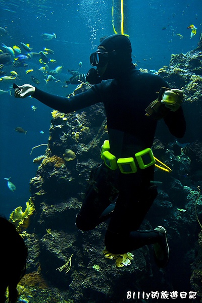 國立海洋生物博物館015.jpg