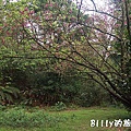 基隆紅淡山045.jpg