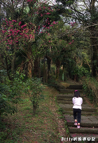 基隆紅淡山056.jpg