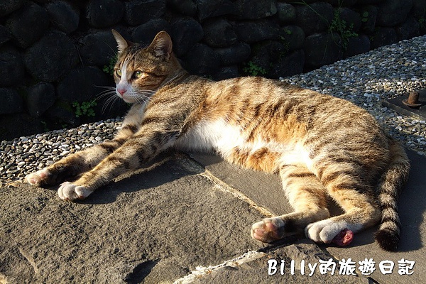 猴硐煤礦博物園區024.jpg