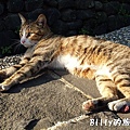 猴硐煤礦博物園區024.jpg