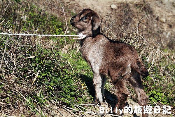 馬祖東莒-神秘小海灣&60據點07.JPG