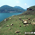 馬祖北竿大坵島038.jpg