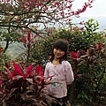 基隆紅淡山050.jpg