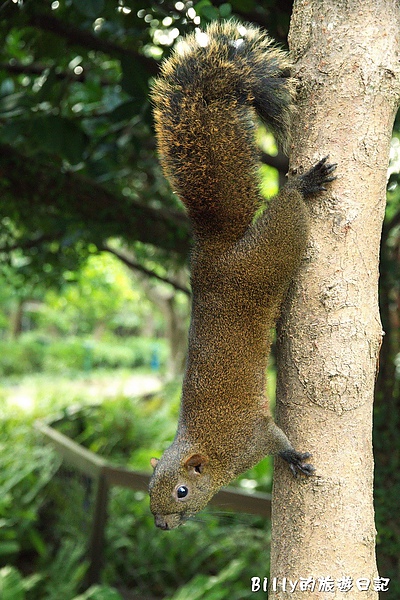 台北市植物園19.jpg