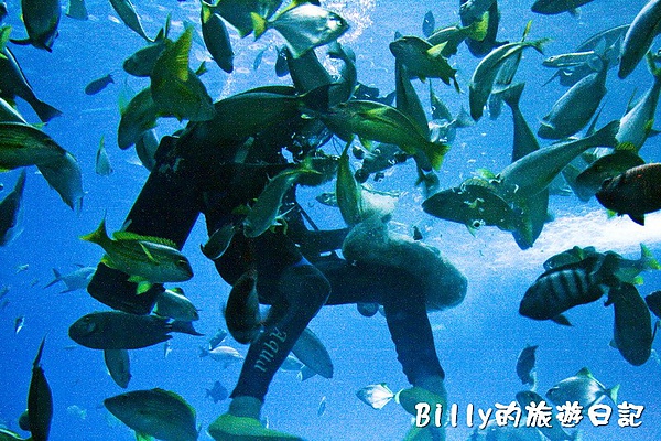 國立海洋生物博物館020.jpg