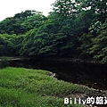 月眉山桐花17.JPG
