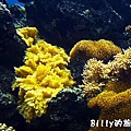 國立海洋生物博物館010.jpg