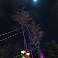 2010基隆中元祭主普壇開登068.jpg