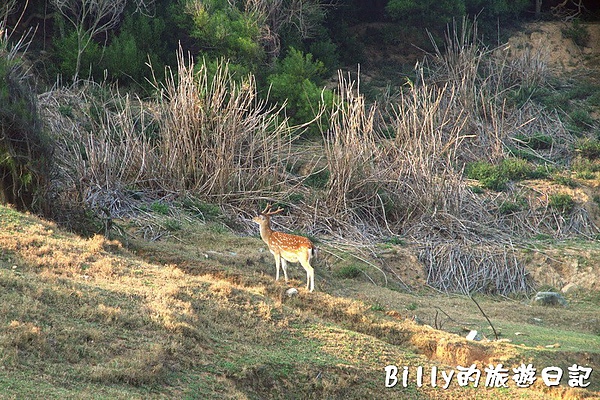 馬祖北竿大坵島054.jpg