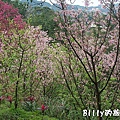 基隆紅淡山104.jpg