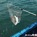 馬祖東莒船釣鱸魚013.JPG