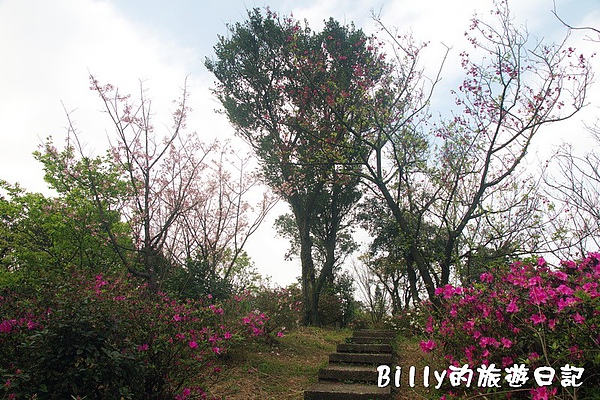 基隆紅淡山040.jpg