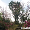 基隆紅淡山040.jpg