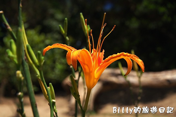 馬祖東莒-魚路古道053.jpg 馬祖東莒-魚路古道053.jpg