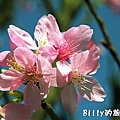 基隆泰安瀑布002.jpg