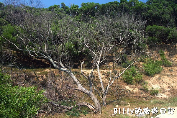 馬祖北竿大坵島042.jpg