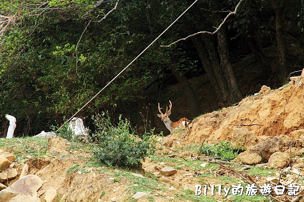 馬祖北竿大坵島175.JPG