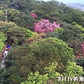 基隆紅淡山061.jpg