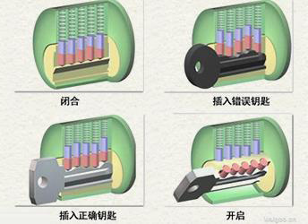 efd000772c7393797ad.jpg efd000772c7393797ad.jpg