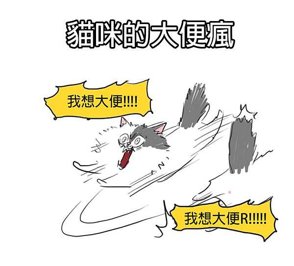 fb貓咪大便瘋1.jpg fb貓咪大便瘋1.jpg