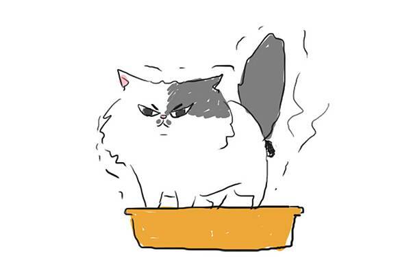 fb貓咪大便瘋2.jpg fb貓咪大便瘋2.jpg