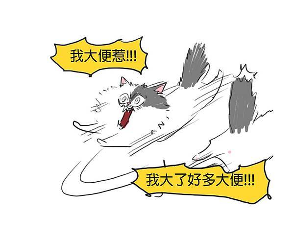 fb貓咪大便瘋3.jpg fb貓咪大便瘋3.jpg