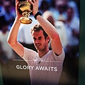 2013溫布頓男單冠軍：Andy Murray